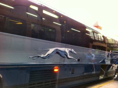 greyhound Bus